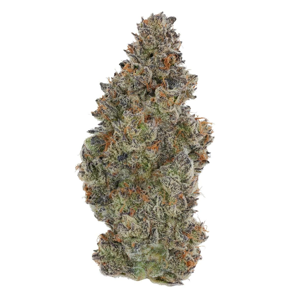 FIG FARMS Kronuts 1G