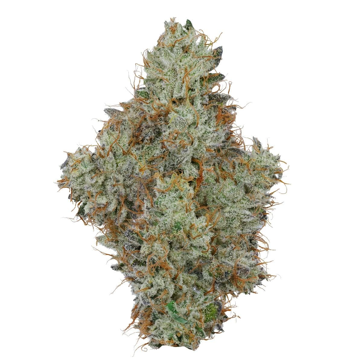 FIG FARMS Animal Runtz 1G